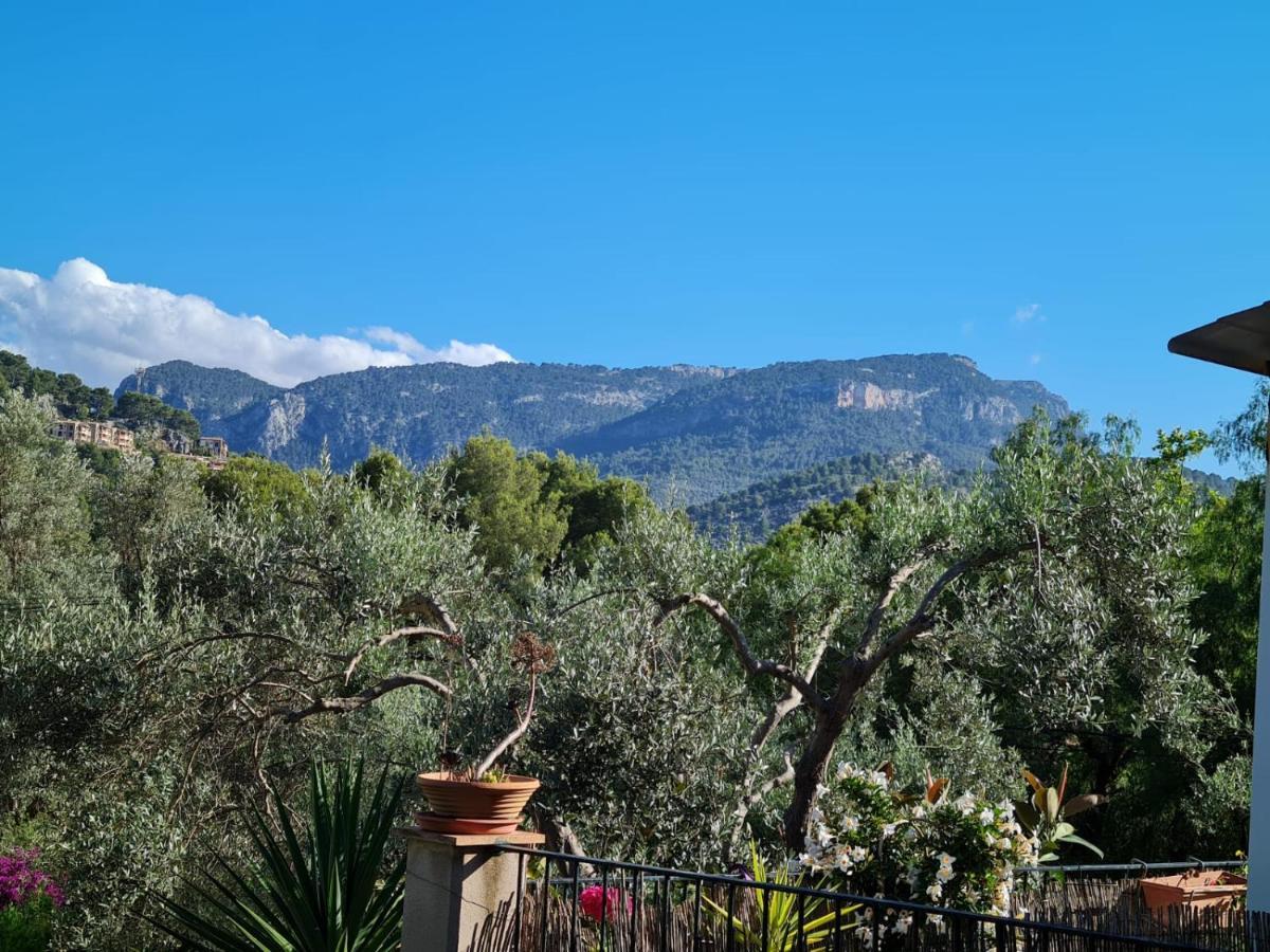 Casa Sunny Βίλα Puerto de Sóller Εξωτερικό φωτογραφία